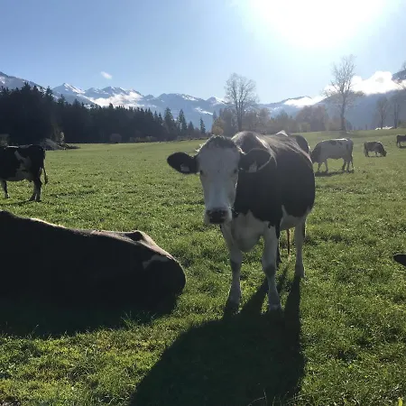Apartmán Haus Auner Westendorf